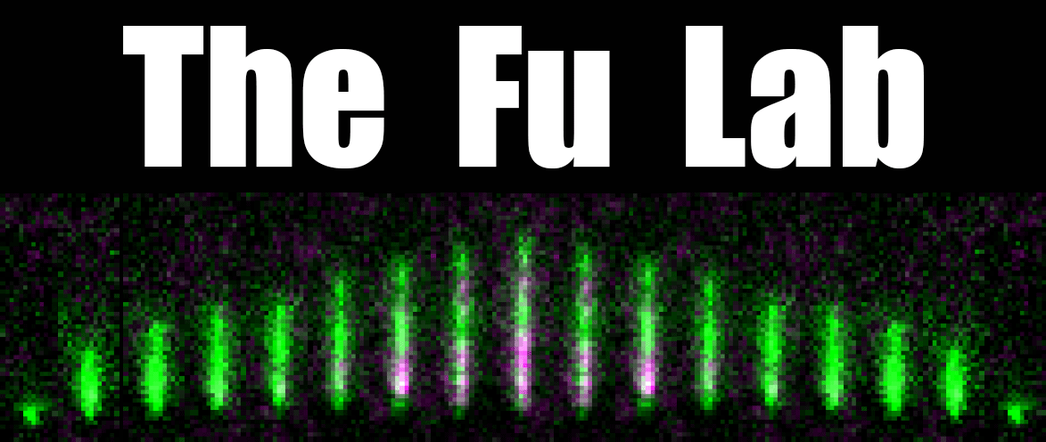 The Fu Lab
